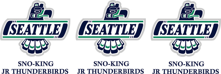 Sno-King Jr Thunderbirds 14U/16U C Girls Hockey Team (Coach Norman)