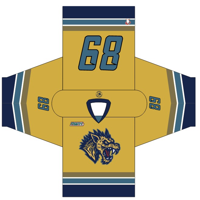 Load image into Gallery viewer, 2025 RHL Summer Draft Hockey Jersey
