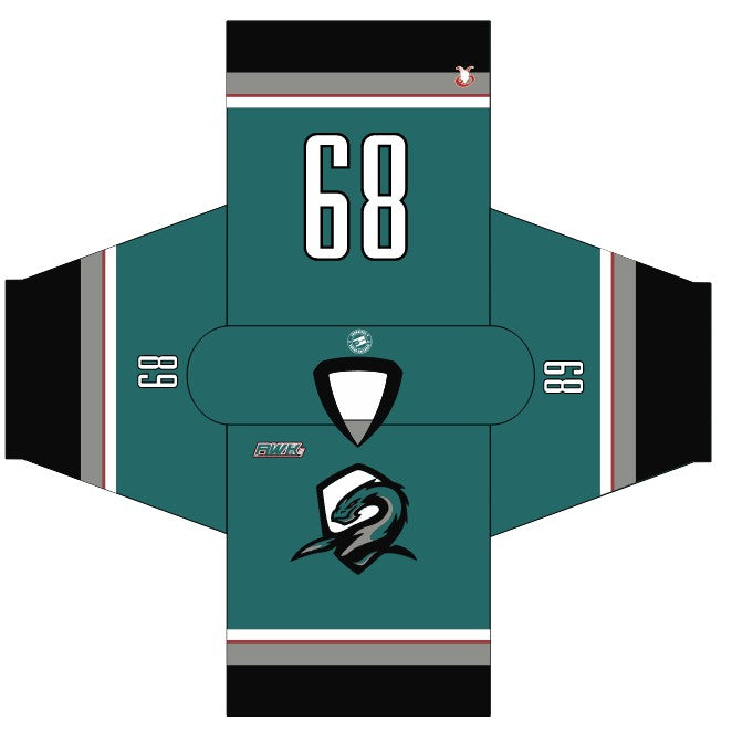 Load image into Gallery viewer, 2025 RHL Summer Draft Hockey Jersey
