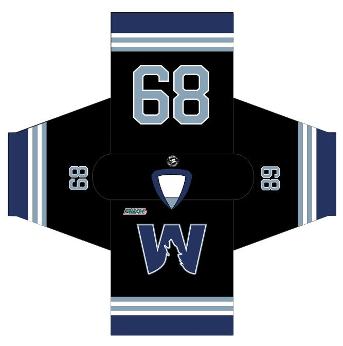 Load image into Gallery viewer, 2025 RHL Summer Draft Hockey Jersey
