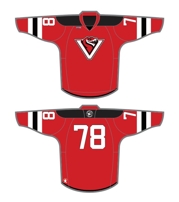 Load image into Gallery viewer, 2026 RHL Summer Draft Hockey Jersey
